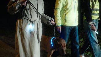 Začetek akcije Bodi viden, bodi previden in Osredotoči se na cesto!