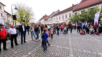 Vabljeni na javno predstavitev Smernic za upravljanje mestnega jedra Novega mesta Vabljeni na javno predstavitev Smernic za upravljanje mestnega jedra Novega mesta