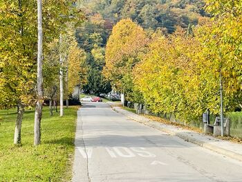 Sprememba prometnega režima pri pokopališču v Slovenskih Konjicah Sprememba prometnega režima pri pokopališču v Slovenskih Konjicah