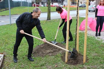 POSADITEV »ROŽNATEGA DREVESA« V BOVCU