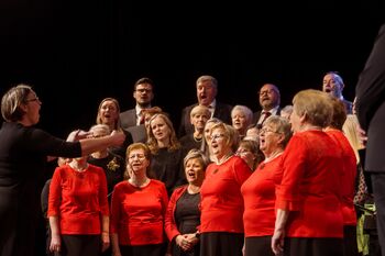 Ljubiteljska kultura na Ravnah – Leto ustvarjalnih zgodb