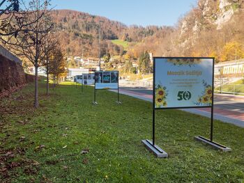 Ulična razstava Mozaik Sožitja