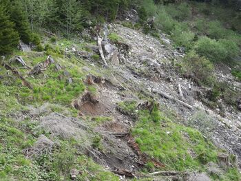 Pričetek del na zemeljskih plazovih v zaledju Koroške Bele