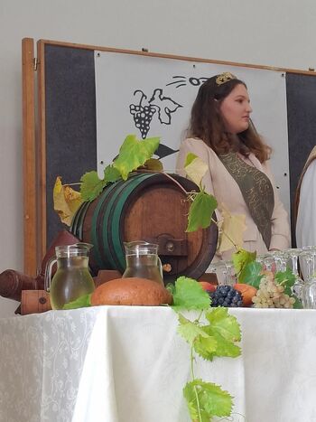 MARTINOVANJE V OBČINI DOBROVNIK 2025