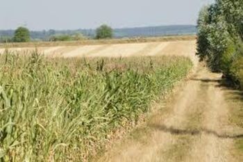 Poziv za zbiranje vlog oškodovancev – SUŠA 2025