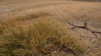 Obvestilo o popisu škode na kmetijskih pridelkih zaradi suše 2025