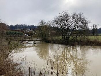 Uspešni na razpisu LAS DBK: z novo brvjo čez Temenico do novih rekreacijskih priložnosti
