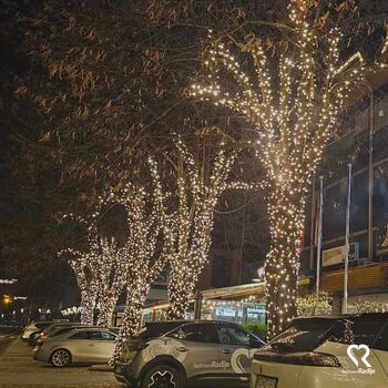PRIŽGALI SMO PRAZNIČNE LUČI IN POIMENOVALI OBČINSKO SMREČICO PRIŽGALI SMO PRAZNIČNE LUČI IN POIMENOVALI OBČINSKO SMREČICO