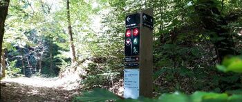 Števec prometa na Golovcu Števec prometa na Golovcu