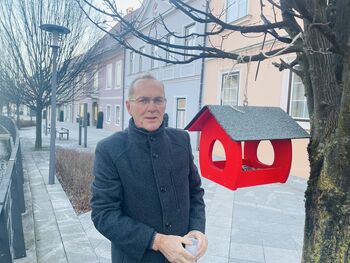 Skrb za ptice v zimskem času