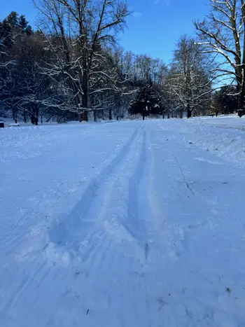 V celjskem Mestnem parku bo na voljo steza za tek na smučeh V celjskem Mestnem parku bo na voljo steza za tek na smučeh