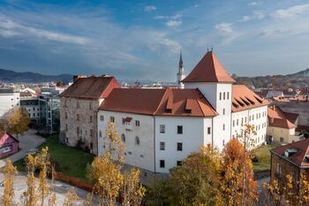 Pokrajinski muzej Celje eden izmed petih Regijskih centrov kulturno-umetnostne vzgoje za otroke in mladino 