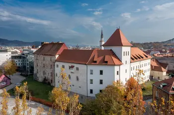 Pokrajinski muzej Celje eden izmed petih Regijskih centrov kulturno-umetnostne vzgoje za otroke in mladino 