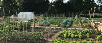 Zanima nas, kako samooskrbni smo v Ljubljani