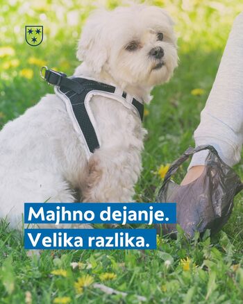 Pobiranje pasjih iztrebkov – odgovornost vsakega lastnika