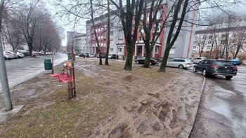 Zelenice niso parkirišča