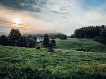 Odprt javni razpis za ohranjanje in spodbujanje razvoja kmetijstva in podeželja