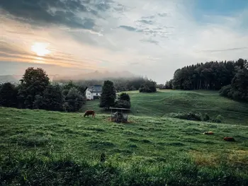 Odprt javni razpis za ohranjanje in spodbujanje razvoja kmetijstva in podeželja