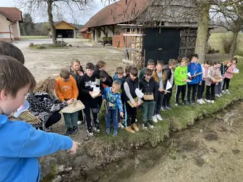 Gregorčki