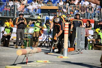 Začenja se svetovno gozdarsko prvenstvo