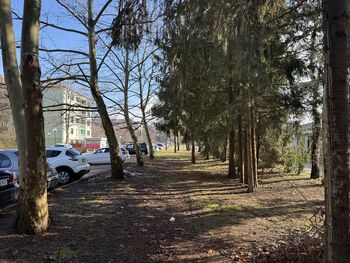 Na pobudo Mestne četrti Dečkovo naselje nova peš pot na območju naselja Pod Gabri