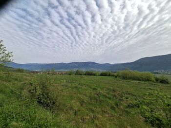 Pohod med slapovi in vinogradi 2026