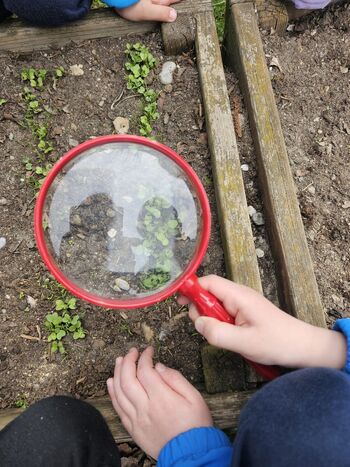 Majhne roke za bolj zelen svet