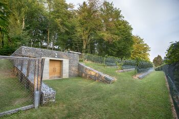 Priznanje Grajskemu vinogradu ob 10. obletnici