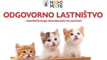 Sofinanciranje sterilizacije in kastracije lastniških mačk v Mestni občini Novo mesto