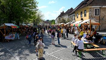 V Novem mestu obeležili Dan Zemlje