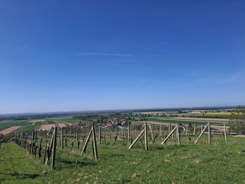 Pohod po občini Dobrovnik