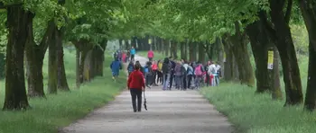 Na pohod ob žici