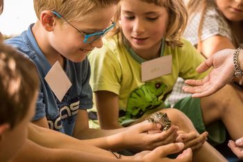 Dogodivščine ob svetovnem dnevu žab v ZOO Ljubljana