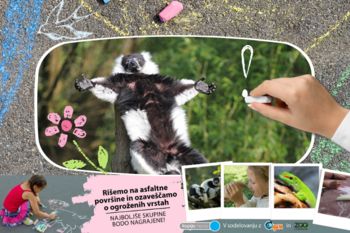 Risanje s kredami v ZOO Ljubljana ob dnevu ogroženih vrst