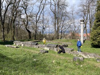 V dveh dneh zbrali več kot 5 ton odpadkov 