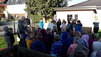 Šola in vrtec v Podgorju posadili šmarno hrušico