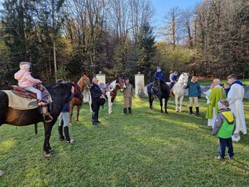 Blagoslov konj in brvi pri sv. Martinu