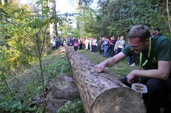 NAMIG ZA PREMIK: Na svetovni dan Zemlje Gozd je kultura