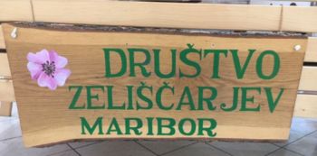 Razstava zelišč Društva zeliščarjev Maribor