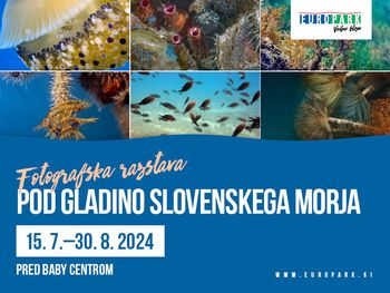 Odkrijte lepote slovenskega morja v Europarku