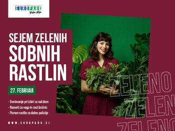 Sejem zelenih sobnih rastlin