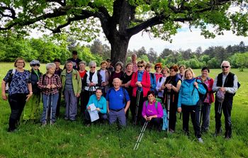 ZIMZELENI NA KRASU – DOBRAVLJE, TOMAJ, KRIŽ
