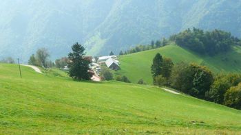 Zimzeleni na Bevkovem vrhu