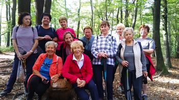 VANDROVKE NA FERJANKI