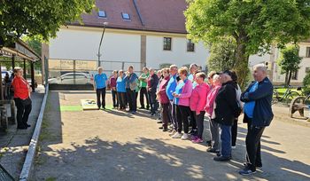 Meddruštveno tekmovanje v pikadu