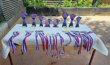 Meddruštveno tekmovanje v pikadu in igri »štrbunk« Meddruštveno tekmovanje v pikadu in igri »štrbunk«