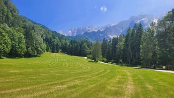 Zimzeleni v Makekovi kočni
