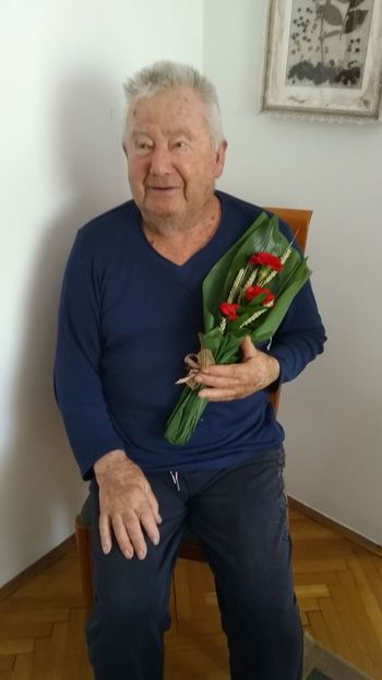 Častitljiva leta
