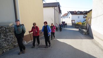 Zimzeleni po stičišču  Brkinov in kraškega sveta