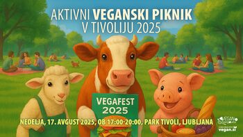 Vegan Hangouts: Aktivni veganski piknik v Tivoliju
